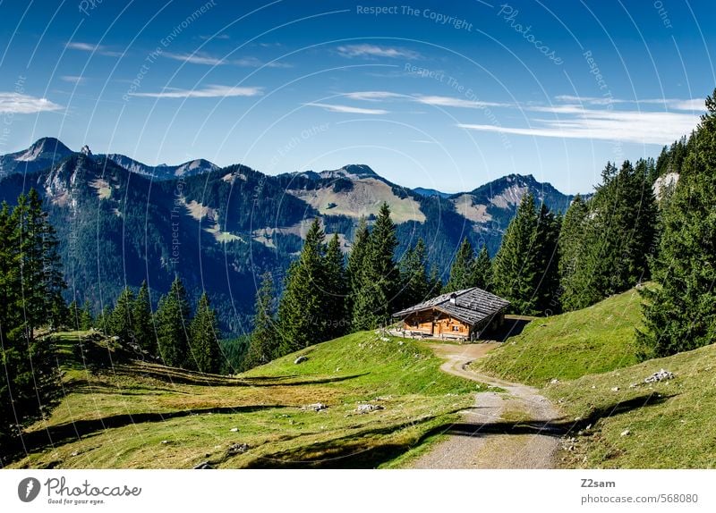 Wandertag Berge u. Gebirge wandern Natur Landschaft Himmel Herbst Schönes Wetter Alpen Hütte Ferne hoch natürlich Abenteuer Einsamkeit Freiheit Freizeit & Hobby