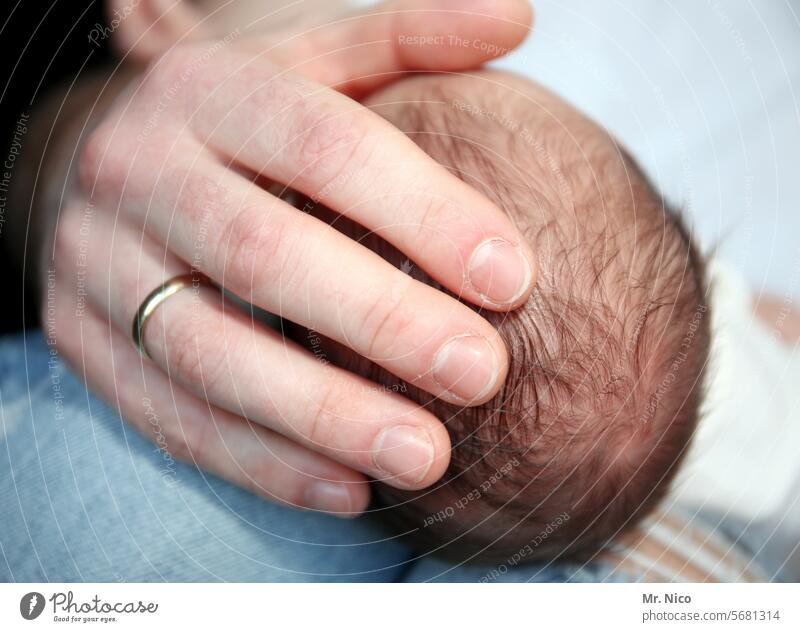 streicheleinheiten neugeboren Sicherheit Hand Kopf Familie & Verwandtschaft Baby Kind Geborgenheit Schutz Kindheit Finger berühren Zärtlichkeiten Familienglück