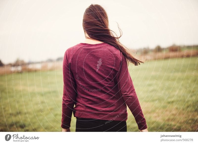 you know i like being confused. feminin Junge Frau Jugendliche Leben Rücken 1 Mensch 18-30 Jahre Erwachsene Natur Herbst Wind Gras Sträucher Wiese Flussufer