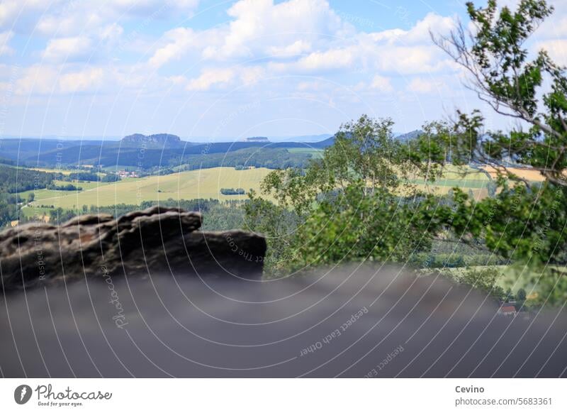 Ausblick in der sächsischen Schweiz wandern Lust wanderlust sächsische schweiz Elbsandsteingebirge Sonnenlicht Außenaufnahme Tageslicht Felsen Fernsicht