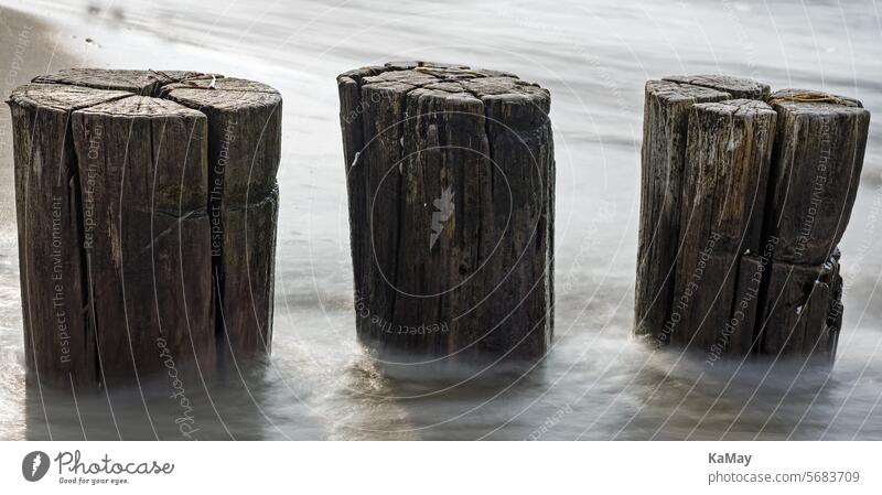 Nahaufnahme von drei hölzernen Buhnen in der Ostsee mit Langzeitbelichtung Pfähle Holz Meer Wasser Küstenschutz Erosion Bauwerk Uferschutz Stack Höft