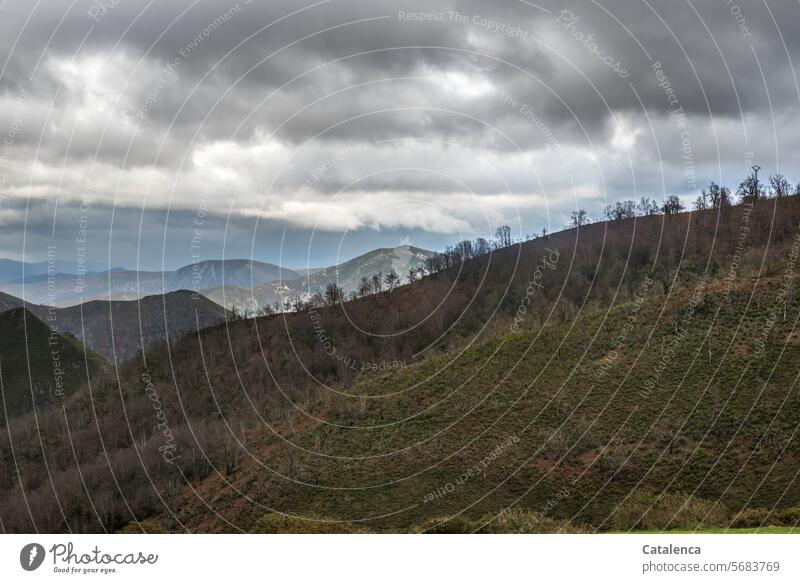 Bergige Landschaft mit  tiefen Wolken. Urlaub Tourismus Ferien & Urlaub & Reisen Berge u. Gebirge Gipfel Himmel Umwelt Tag Natur Tageslicht Wiesen Wald Winter