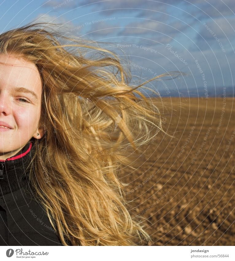 Haare in Farbe Mädchen blond Feld kalt Wind Haare & Frisuren Gesicht lachen