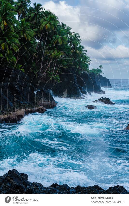 Die Wellen brechen an der zerklüfteten Küste von Praia Jalé winken zusammenbrechend robust Uferlinie türkis Meer vulkanisch Felsen Palme grün üppig (Wuchs)