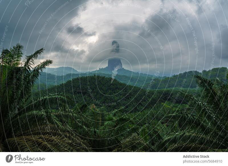 Nebliger Pico Cão Grande über üppiger Waldlandschaft pico cão grande tropisch pflanzlich Gipfel kultig Landschaft São Tomé und Príncipe launischer Himmel