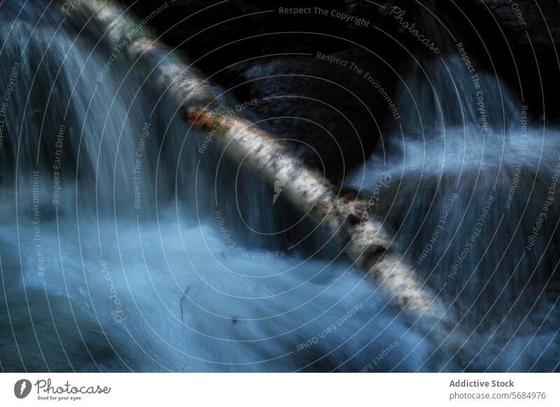 Gelassener Wasserfall mit Birkenstamm in Castilla La Mancha Totholz strömen ruhig Kaskade moosbedeckt Steine Landschaft kastilla la mancha Spanien Gelassenheit