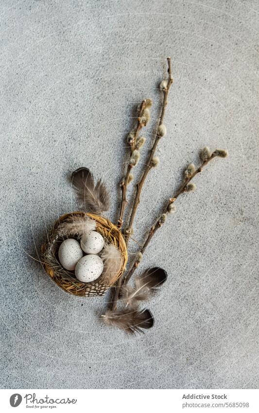 Von oben von einem Flatlay zum Thema Ostern, das ein Nest mit gesprenkelten Eiern zeigt, umgeben von weichen Federn und Weidenzweigen auf einem strukturierten Hintergrund