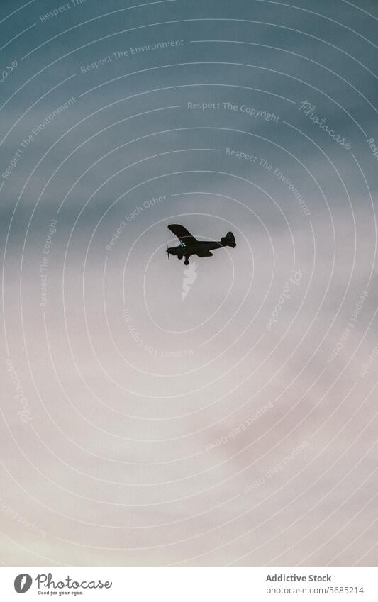 Einmotoriges Flugzeug, das in der Abenddämmerung über Miami fliegt Silhouette fliegen Himmel einmotorig Pastell Horizont Florida reisen Luftverkehr Antenne