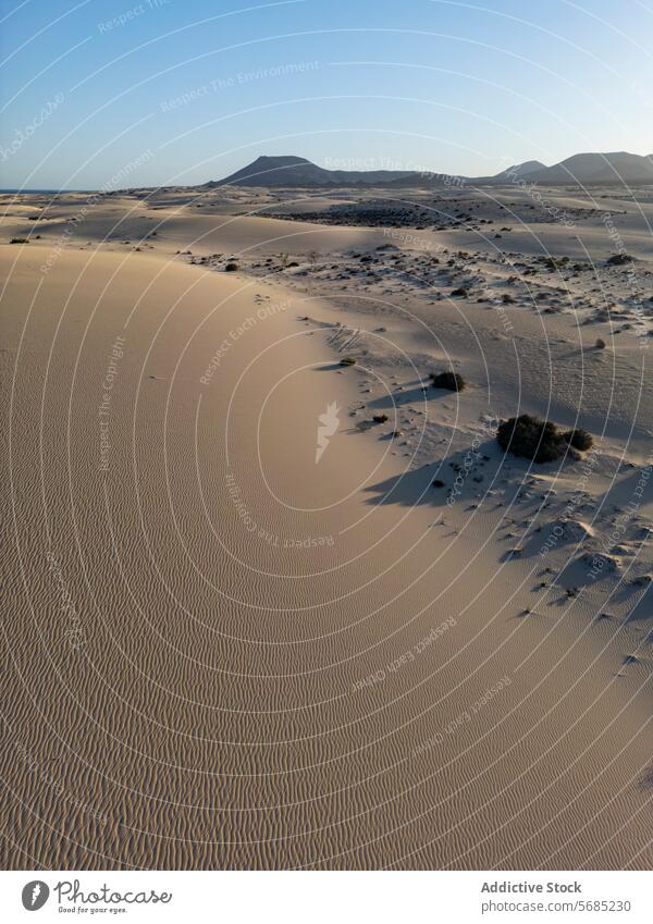 Unberührte Dünen von Corralejo im sanften Licht der Abenddämmerung mit vulkanischen Hügeln in der Ferne auf Fuerteventura Dunes Sand ruhig natürlich Landschaft