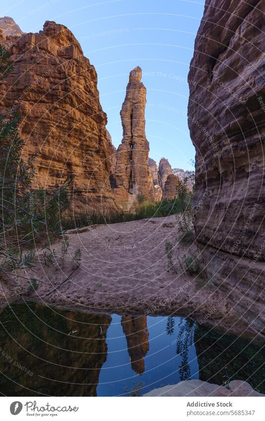 Ruhige Oase inmitten hoch aufragender Sandsteinfelsen Klippe Reflexion & Spiegelung Himmel guelta essendilene Gelassenheit robust Landschaft übersichtlich blau