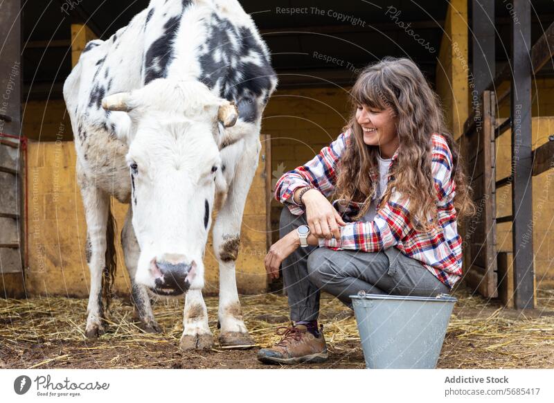 Glückliche Bäuerin mit einer Milchkuh auf einem ländlichen Bauernhof Erwachsener Ackerbau Tier Scheune Business Wade Pflege Streicheln Rind Kaukasier heiter