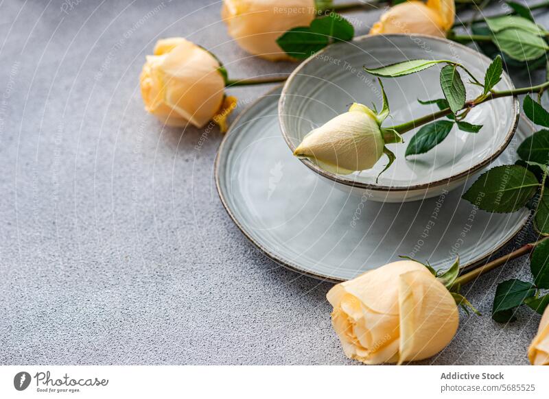 Elegant gedeckter Tisch mit Pfirsichrosen und Grünzeug Roséwein grün Blatt Blume Keramik Geschirr grau elegant speisend Ordnung Dekoration & Verzierung