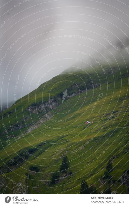 Nebliger Berghang mit Haus in Appenzell Hügelseite Nebel grün Landschaft Natur Schweizer ländlich abgelegen Gelassenheit Ruhe Weide Einsamkeit Wiese Grasland