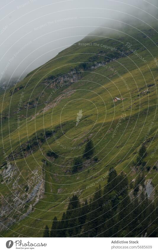 Neblige Alpenhügel mit einem einsamen Haus in Appenzell Schweizer Landschaft Hügel Nebel Gelassenheit alpin Berghang üppig (Wuchs) grün Natur Europa Wiese Weide