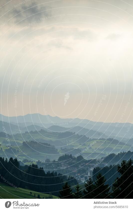 Sonnenstrahlen über Appenzells nebligen Hügeln und Tälern Schweiz Berge Dunst Sonnenlicht Tal Landschaft Natur im Freien malerisch Ruhe Nebel grün ländlich