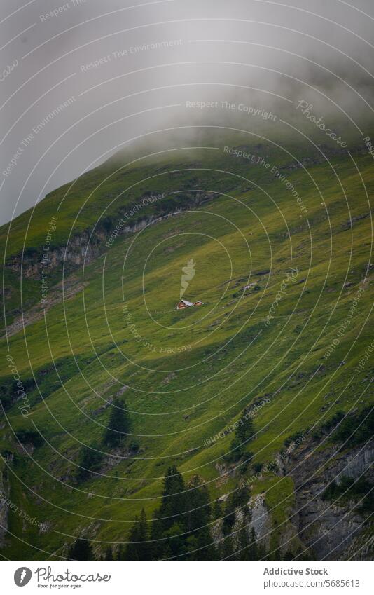 Alpine Einsamkeit in einer wolkenverhangenen Landschaft alpin Haus Nebel Hügelseite grün Gras Natur ländlich abgelegen malerisch Wiese Berge u. Gebirge