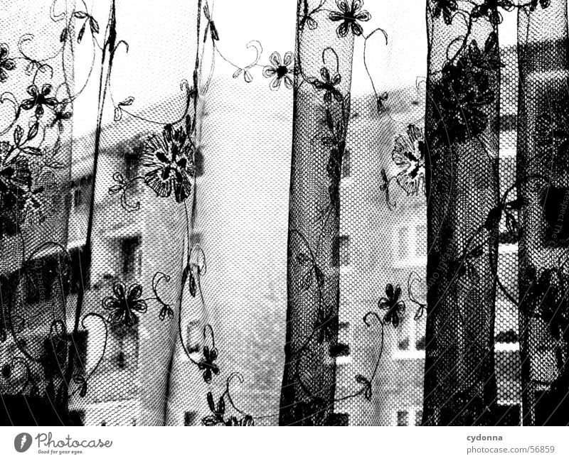 Tristess Gardine Block Plattenbau Winter Sturm Sinn Wohnung Mieter Blick beobachten Wetter Gesichtsausdruck Aussage Einsamkeit Häusliches Leben Schwarzweißfoto