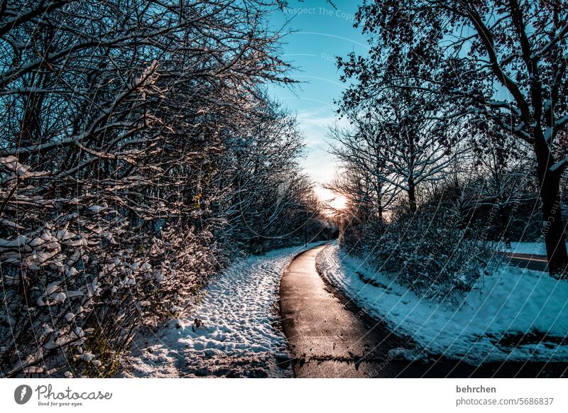 das erste licht Sonnenlicht Glanz Straße Wege & Pfade Sonnenaufgang Wolken Klima Schnee Schneefall ruhig Himmel Winter Umwelt Natur Landschaft Frost Bäume