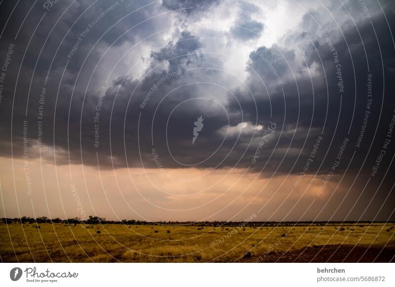 r wie … | regenwolken Gras trockenes Gras Trockenheit dramatisch Unwetter Regenwolken beeindruckend besonders Himmel Landschaft Abenteuer reisen Fernweh Ferne