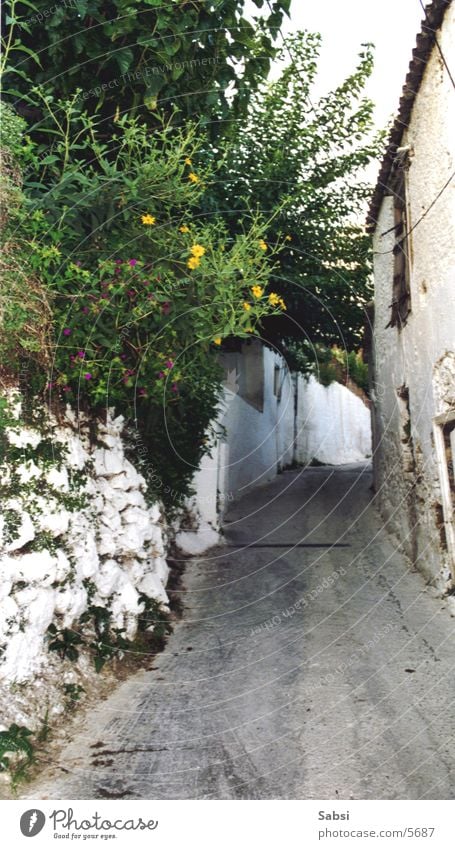 gasse Gasse Haus Griechenland Mauer Straße