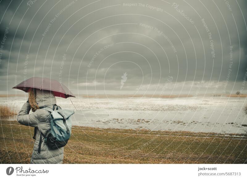 R wie... I Regenschirm bei Regenwetter Nationalpark Ferne Panorama (Aussicht) Idylle Landschaft Winter Horizont schlechtes Wetter Natur Himmel Wolken