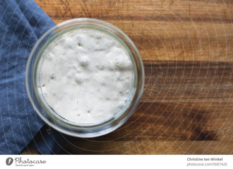 Der Vorteig für das Brot bzw Baguette ruht im Glas und bildet schon Bläschen Brotteig Teig Mehl Wasser Teigruhe Hefe gemischt Bläschenbildung aufgehen