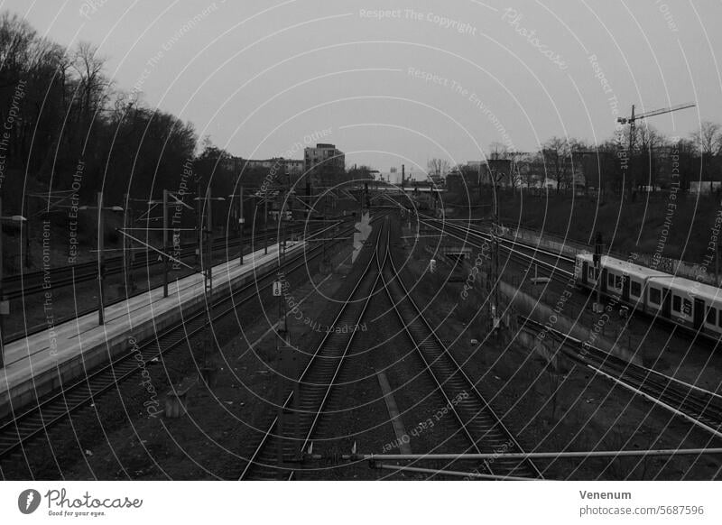 Analogfotografie Berlin, Bahngleisanlagen am Bahnhof Gesundbrunnen analog analoge fotografie Analoges Foto Analogbild Berlin-Mitte gesundbrunnen Bahngleise