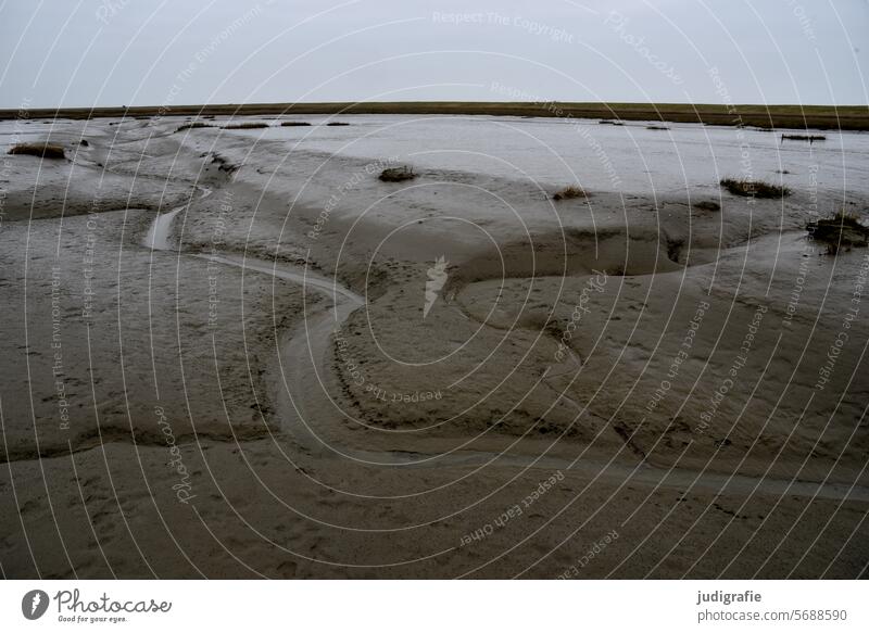 Langwarder Groden Nordsee Meer Wasser Küste Natur Landschaft Marschland Wattenmeer Priel Salzwiese Umwelt Vogelschutzgebiet Nordseeküste Gezeiten Ruhe Gras