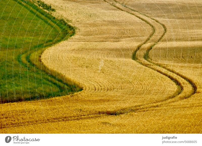 Acker Ackerbau Wiese Landwirtschaft Traktorspur Landschaft Natur Umwelt anbauen grün weich Bewegung Feld Ernte Wellen Wachstum Ackerland Getreide Lebensmittel