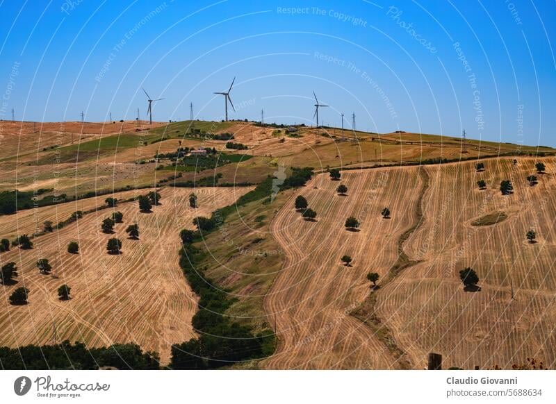 Ländliche Landschaft bei Lakedonien, Kampanien, Italien Avellino Campania Europa Melfi Ackerbau Ballen Farbe Tag Feld Hügel Berge u. Gebirge Natur Fotografie