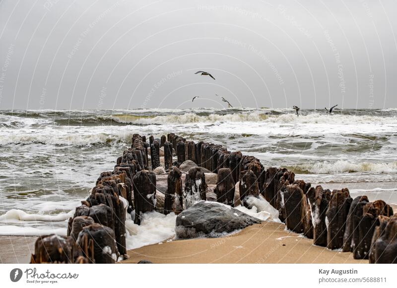 Alte Holzbuhne Alte Buhne Nordsee Strand Brandung Wellenschlag Nordsee Küste Küstenschutz Wellenbrecher Dünung Meer Holzpfähle Wasserspritzer Gischt Wellenkamm