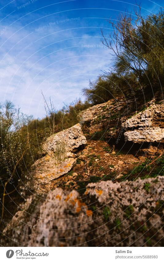 Natur Felsen Naturschutzgebiet Naturerlebnis Natur-Foto natürlich natürliche Welt natürliches Licht natürliche Farbe felsig Steine Rocky Mountains im Freien