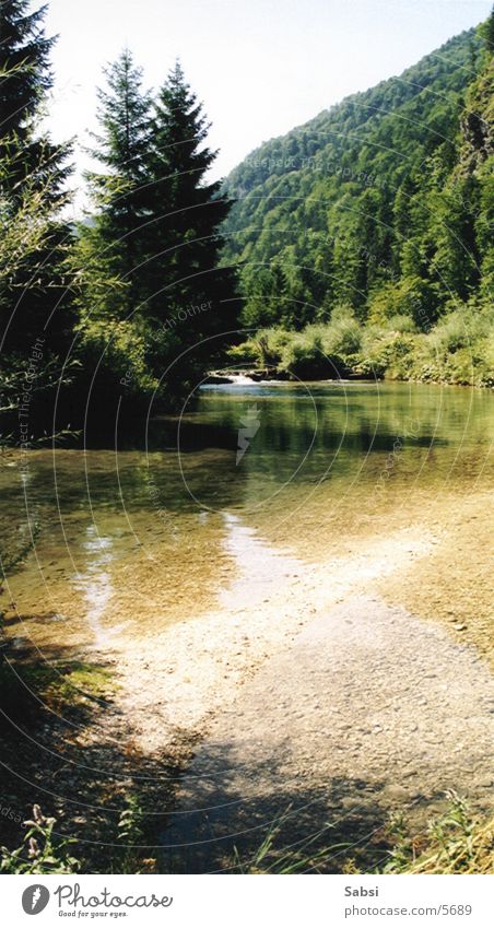 quell Baum ruhig Österreich Wasser Fluss Landschaft Erholung