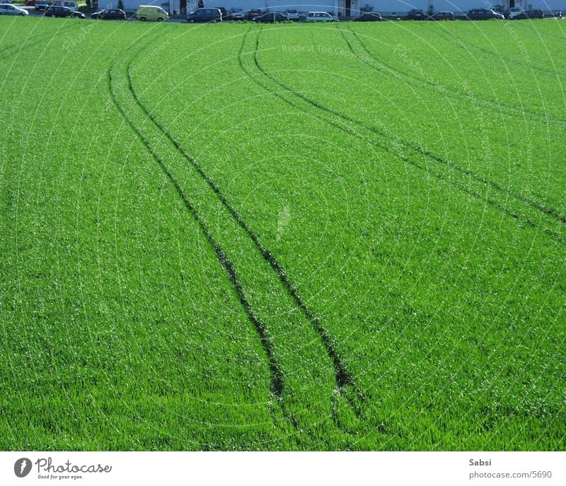 green grün Wiese Feld Natur Spuren