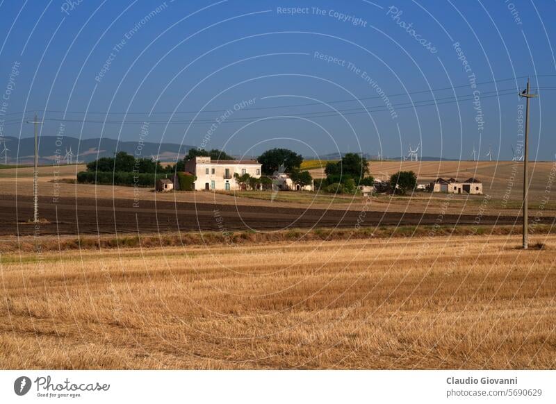 Ländliche Landschaft bei Oppido Lucano und San Chirico, Basilikata, Italien Europa Potenza Ackerbau Ballen Farbe Tag Feld Hügel Berge u. Gebirge Natur