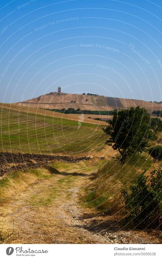 Ländliche Landschaft bei Oppido Lucano und San Chirico, Basilikata, Italien Europa Potenza Ackerbau Ballen Farbe Tag Feld Hügel Berge u. Gebirge Natur