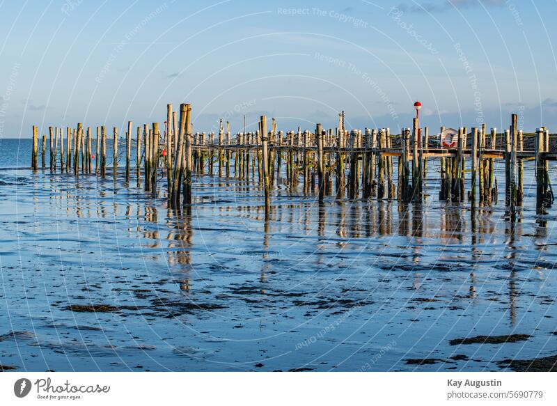 Gezeitenhafen Sehenswürdigkeit Farbfoto Außenaufnahme Menschenleer Hafenanlage Wattenmeer Sportboothafen Rantum Rantumbecken Freizeithafen