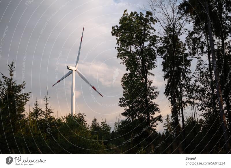 Windrad zwischen Bäumen in einem Wald vor einem schönen, pastellfarbenen Abendhimmel Sauberkeit Cleantech Land Landschaft elektrisch Elektrizität Energie