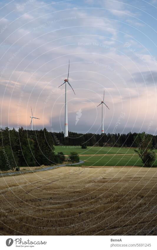 Windräder zwischen Bäumen in einem Wald vor einem wunderschönen, pastellfarbenen Abendhimmel Sauberkeit Cleantech Land Landschaft elektrisch Elektrizität