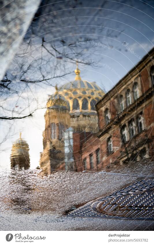 Berliner Sehenswürdigkeiten in der Pfütze III Winter immobilien wohnen Textfreiraum oben Berlin-Mitte Hauptstadt Hochhaus Urbanisierung Textfreiraum rechts