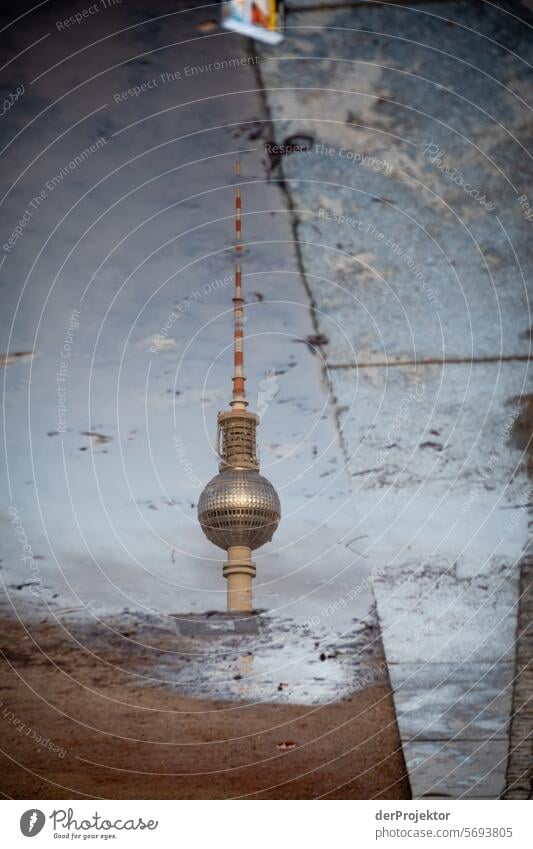 Berliner Sehenswürdigkeiten in der Pfütze IX Winter immobilien wohnen Textfreiraum oben Berlin-Mitte Hauptstadt Hochhaus Urbanisierung Textfreiraum rechts