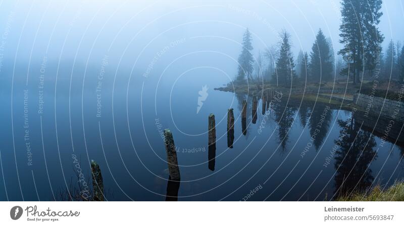 Oderteich im Harz bei Nebel im Herbst oderteich Dunst Landschaft Winter Pfähle Damm Stausee