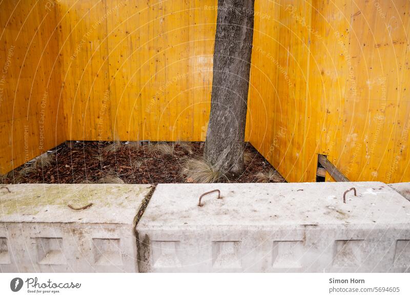 Baum zwischen Betonblöcken und blickdichten Bauzäunen Urbanisierung Lebensraum Versiegelung Bauarbeiten Bodenversiegelung Baumstamm eingeengt bedroht