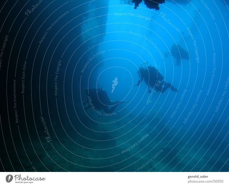 Taucher tauchen Indonesien Schweben Unterwasseraufnahme Wasser blau