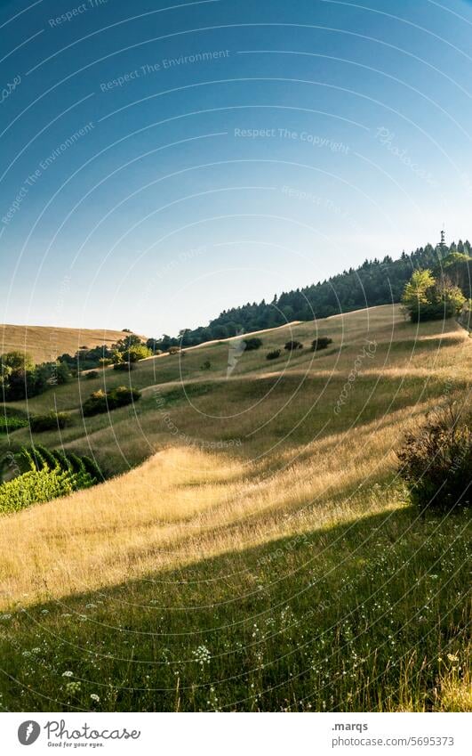 Weich Ausflug Tourismus Sommer Kaiserstuhl Erholung Idylle Schönes Wetter Himmel Landschaft Hügel Gras Natur Schräglage weich