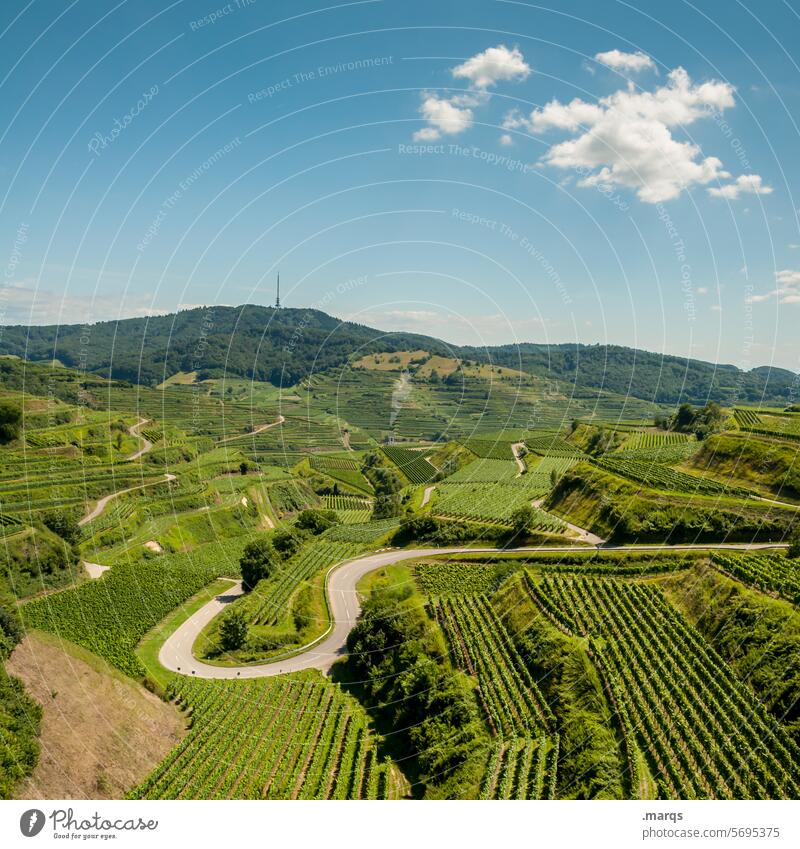 180° Kaiserstuhl Straße Weinberg Schönes Wetter Sommer Landschaft Natur Aussicht Erholung Hügel Feld Tourismus Kurve Verkehrswege Weinbau Horizont Himmel