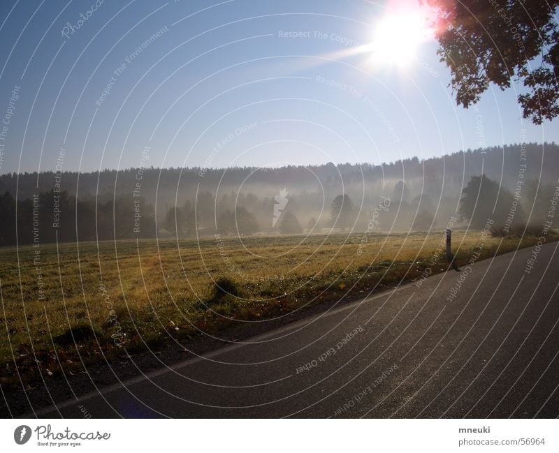 Herbststimmung Nebel Wald Feld Sonne Landschaft