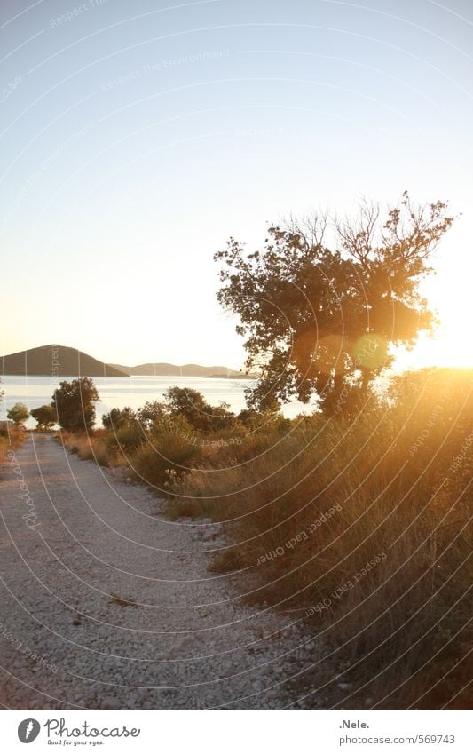 kroatien. Natur Landschaft Erde Wasser Himmel Sonne Sonnenaufgang Sonnenuntergang Sonnenlicht Sommer Schönes Wetter Wildpflanze Hügel Küste Meer Mittelmeer