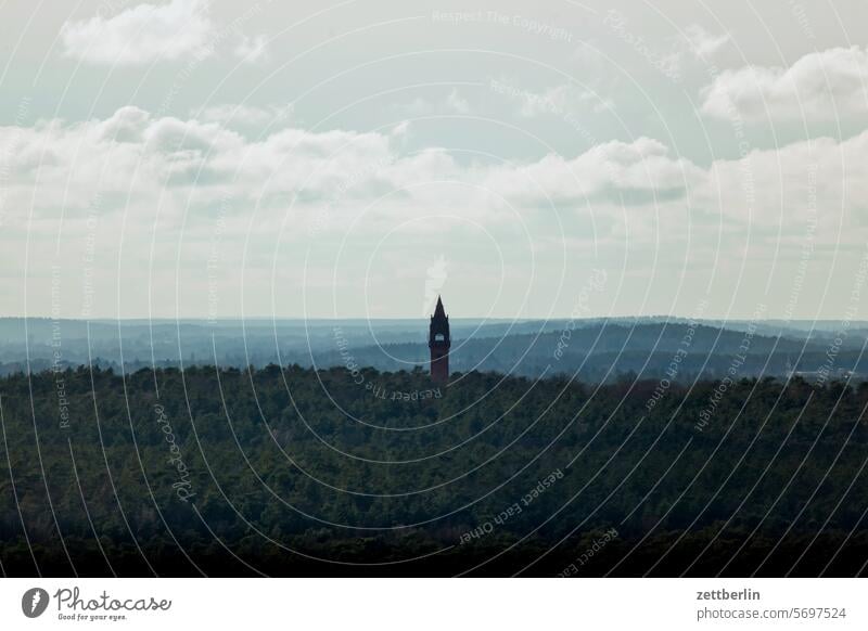 Grunewald mit Grunewaldturm ausflug baum dämmerung erholung ferien himmel menschenleer natur park pflanze ruhe saison sonne strauch textfreiraum tiefenschärfe