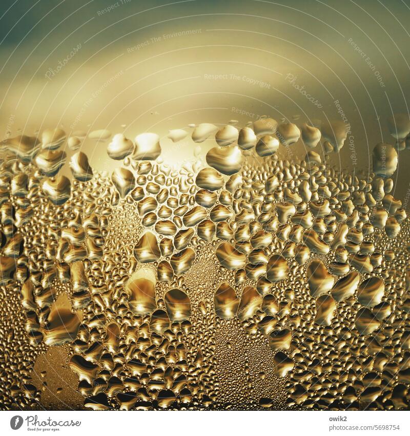 Physik am frühen Morgen Fenster Tropfen Oberfläche Flüssigkeit liquide komplex geheimnisvoll Tau Wetter Kondenswasser draußen kalt innen warm Wasser